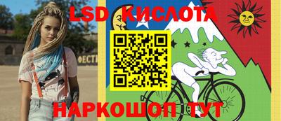 эйфоретик Бердск